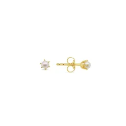 Allura Sterling FW Seed Pearl Stud Earrings | Silver YGP