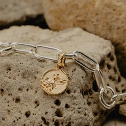 Evolve | Fantail Coin | Pendant Charm | Gold