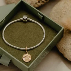 Evolve | Tui Coin | Pendant Charm | Gold