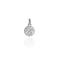 Evolve | Tui Coin | Silver | Pendant Charm