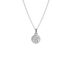 Evolve | Tui Coin Pendant | Silver | 55cm Necklace