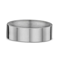 Titanium Wedding Band (U)