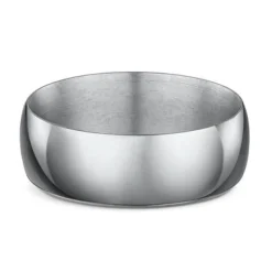 Titanium Wedding Band (W)
